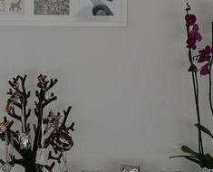 wallpaper-1689754