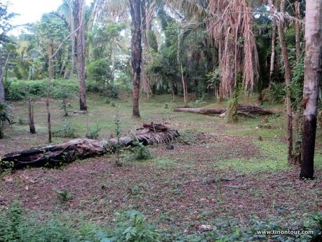  Grundstück in Belize gekauft, Lodge aufgebaut und Maya Ruinen entdeckt