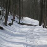 Radfahren im Wald und im Schnee  Kai Timmer