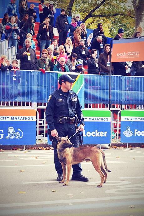 New York November 2013 Marathon Polizist Hund