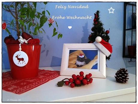 Frohe Weihnachten / Feliz Navidad