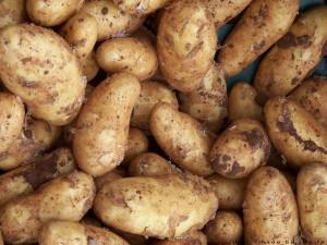 potatoes-168607_1280