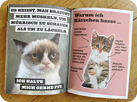 Buchrezension: Grumpy Cat - Das einzige Buch mit schlechte-Laune-Garantie