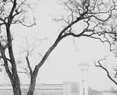wallpaper-1689754