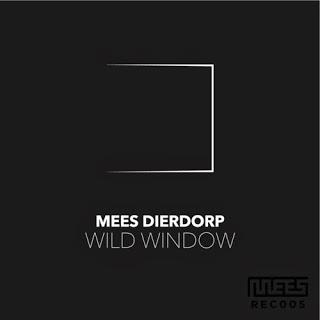Release: Ein Album, das noch viele Wellen schlagen wird, Mees Dierdorp - Wild Window