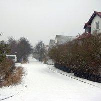  Eis und Schnee auf Hiddensee