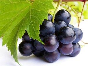 2013_0915_grapes
