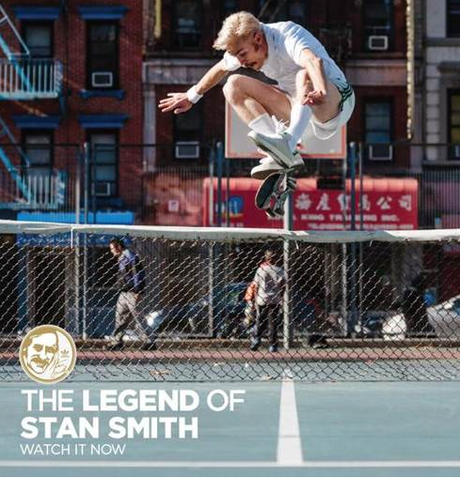 Adidas Stan Smith Skateboarding