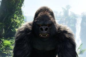 Das böse Oberhaupt der Gorillas