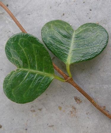 Mich manchmal zu dir fühlen OLYMPUS DIGITAL CAMERA