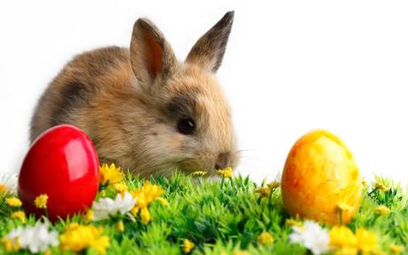 Frohe Ostern :)