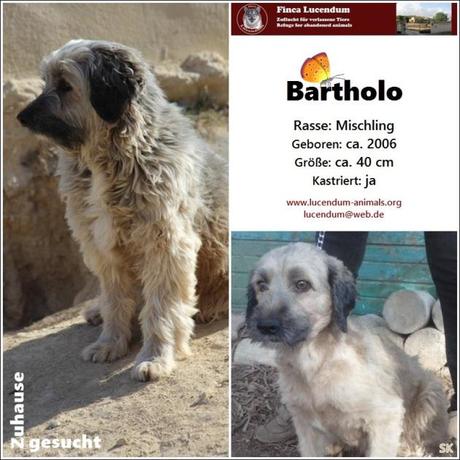 Bartholo