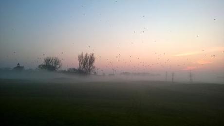 Golfer und Nebel