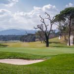 Green 12 und toter Baum des Stadium Courses des PGA Catalunya Go