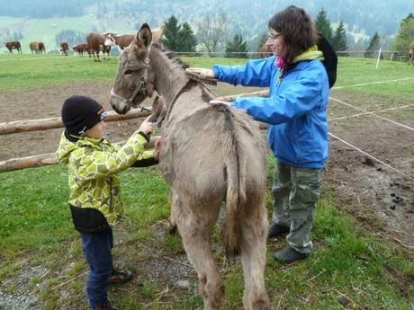 Ferienprogramm: Eine Eselswanderung im Toggenburg