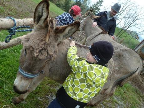 Ferienprogramm: Eine Eselswanderung im Toggenburg