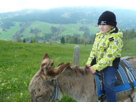 Ferienprogramm: Eine Eselswanderung im Toggenburg