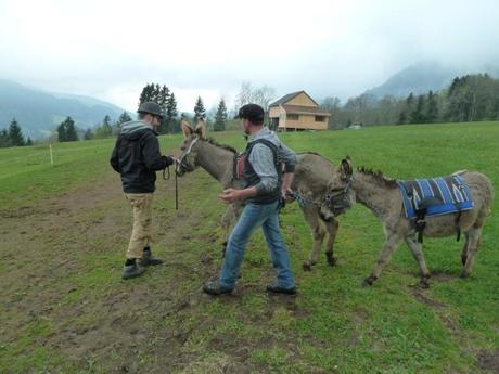 Ferienprogramm: Eine Eselswanderung im Toggenburg