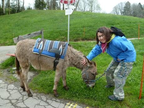 Ferienprogramm: Eine Eselswanderung im Toggenburg