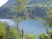 Allgäu: Schöne Wanderungen im Allgäu (3. Teil) – Großer Alpsee