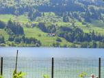 Allgäu: Schöne Wanderungen im Allgäu (3. Teil) – Großer Alpsee