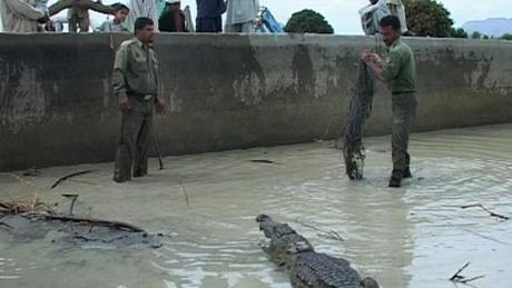 Das persische Krokodil (Dokumentation, Regie: Houchang Allahyari, 09.05.)