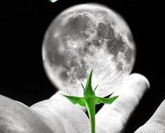 wallpaper-1689754