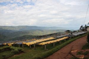 Angekommen. Musasa. Unsere erste Washing Station in Ruanda