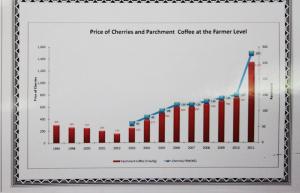 Die Preisentwicklung von Kirschen und Parchments für die Farmer zeigt nach oben (Stand: 2011)