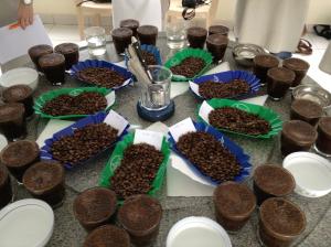 Cupping-Labor von Coopac: 17 verschiedene Spezialitätenkaffees wurden vorbereitet