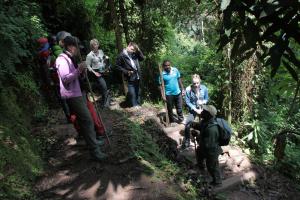 geführte Wandertour durch den Nyungwe-Wald 