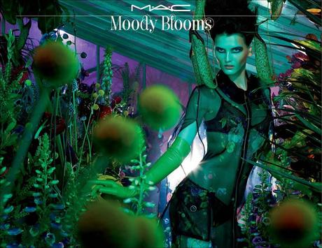 MAC Moody Blooms