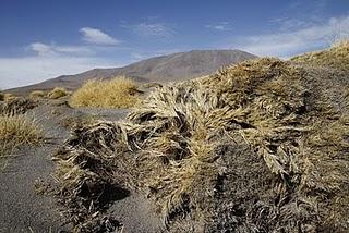 Salar de Uyuni (Bolivia)