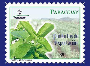 Paraguay Post Stamp, containing a Stevia field