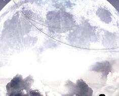 wallpaper-1689754