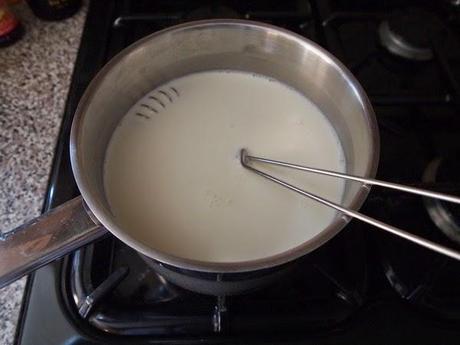 Der nächste Schritt - Joghurt selbst machen