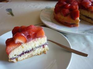 Mini Erdbeerkuchen mit Backstevia © Marion Candela - nocarbs-blog.de 2014