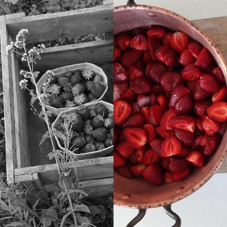 Erdbeer Marmelade + Prosecco