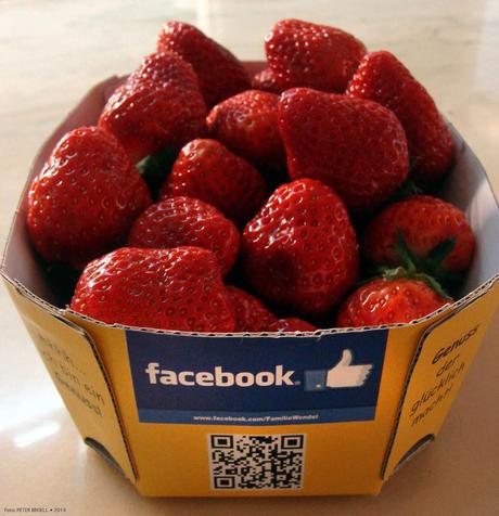 Facebook-Erdbeeren und das enorme Gedächtnis von Google