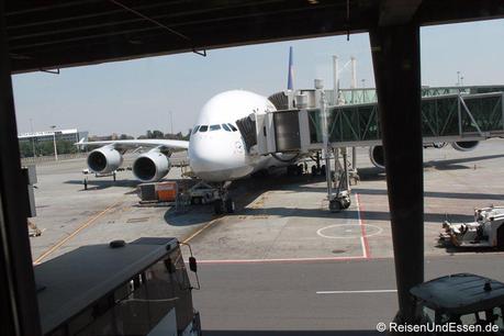 Ankunft mit A380 von Lufthansa LH572 in Johannesburg
