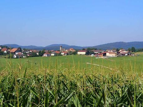 Typische Landschaft der Franche Comté. - Foto: Erich Kimmich