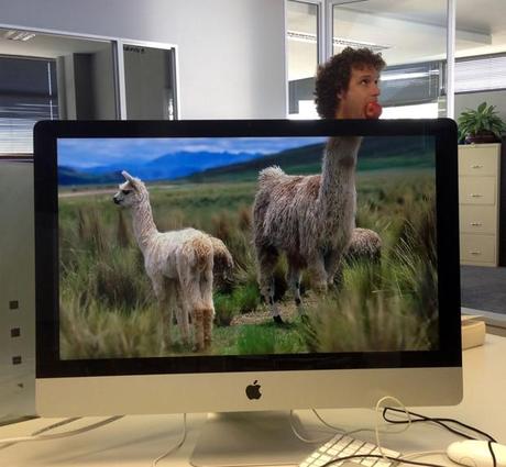 Desk Safari: Neuer Trend für den gelangweilten Büromenschen