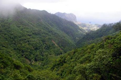 Levada da serra do faial - Madeira(c)awesomatik.com