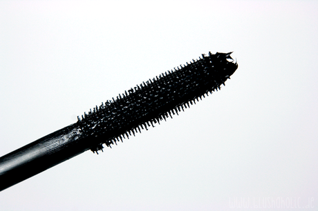 |MY LOOK - YOUR LOOK| Eure Nr.1 Mascara