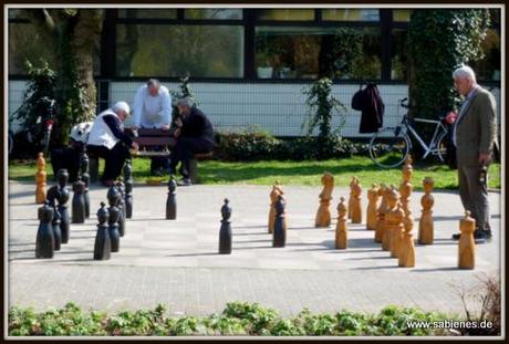 Der Schachspieler