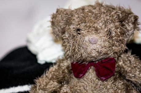 Kuriose Feiertage - 9. September - Teddybär-Tag - der amerikanische Teddy Bear Day - 2 (c) 2014 Sven Giese