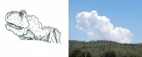 Aus Wolken werden Fantasie Lebewesen: Zeichnungen von Martin Feijoó