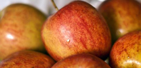 Kuriose Feiertage - 21. September 2014 - Internationaler Iss-einen-Apfel-Tag - International Eat an Apple Day - 1 (c) 2014 Sven Giese