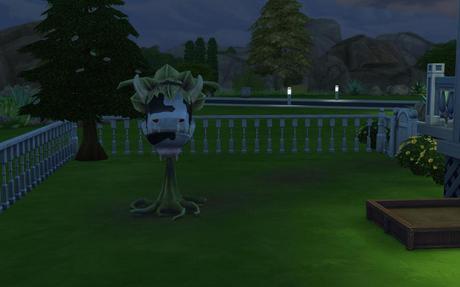 Sims 4 die Kuhpflanze