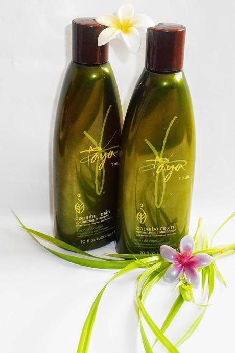 TAYA - Copaiba Resin Shampoo & Conditioner - HSE 24
